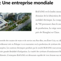 BH Vélo électrique DEMA IMPERIA 6 TOUR 630Wh 120 Kms Women (Made In Europe) -Magasin De Roues BAFANG 4