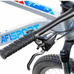 LEADER FOX VTT AFISPORT M2 29″ Alu Silver -Magasin De Roues afisport M2 gris 2 2