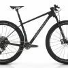 LEADER FOX VTT MEGAMO FACTORY AXS RACE LTD SRAM GX AXS 12V 2022 Black