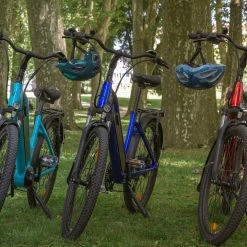 25 Kg Vélo électrique VIRAGE FLEURON 624Wh 150 Kms 2022 Bleu Marine (Made In France) -Magasin De Roues virage fleuron 3 couleurs